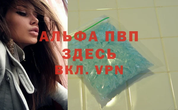 mdpv Вяземский